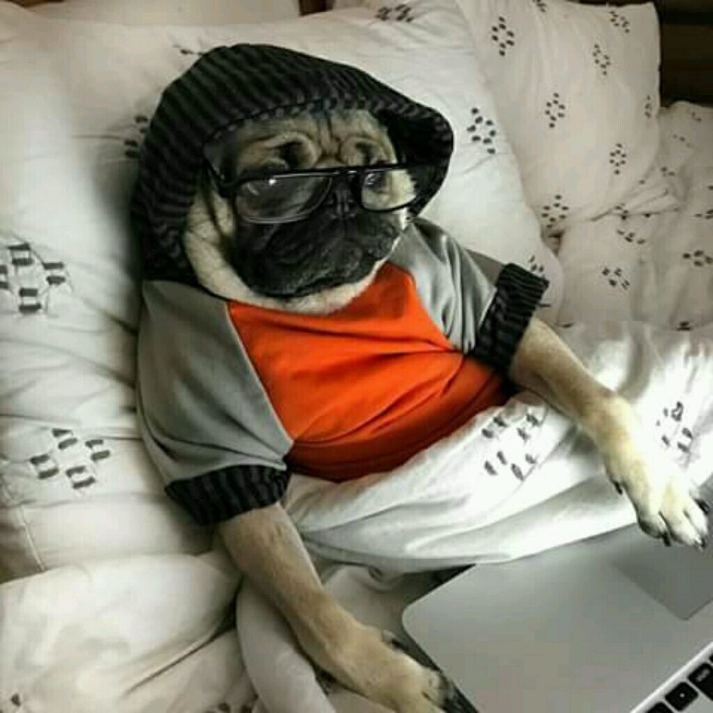 Meet your Posher, Jodi