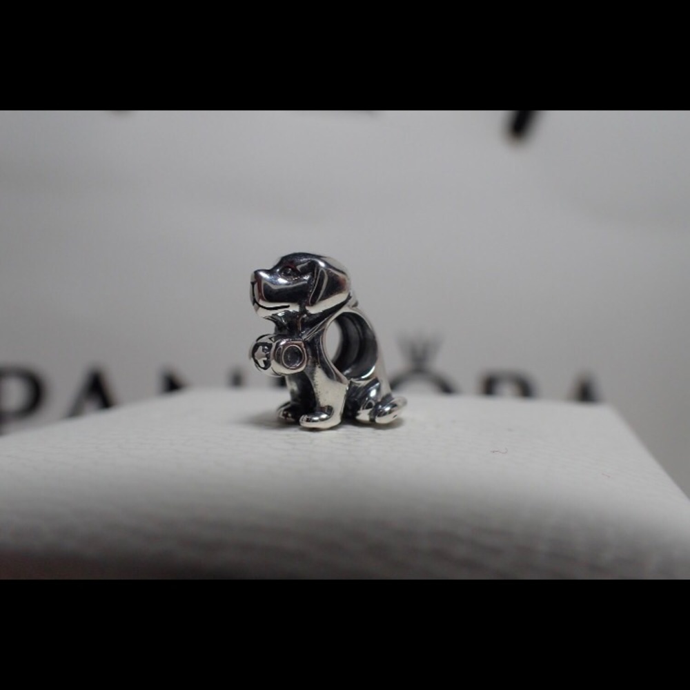 Pandora Saint Bernard charm