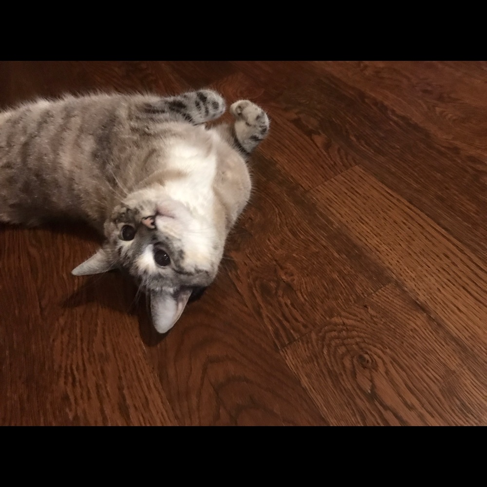 Meet your Posher, Cheryl