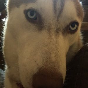 Meet your Posher, Connor