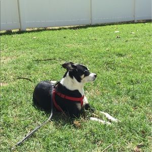 Meet your Posher, Toni