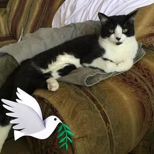 Meet your Posher, Patricia