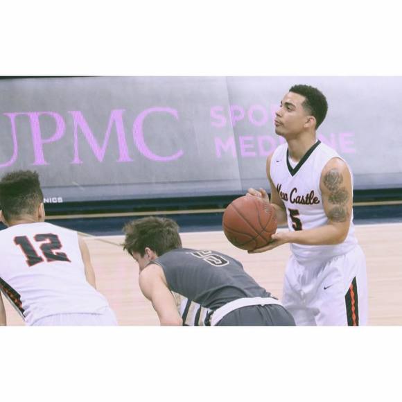 Meet your Posher, Lorenzo - Picture 1 of 1