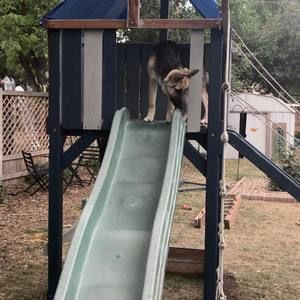 Meet your Posher, Eddie