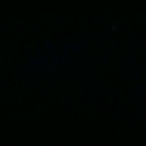 Meet your Posher, Bobby