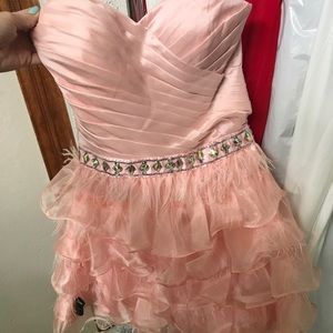 Alyn Rose Design Gown size 2