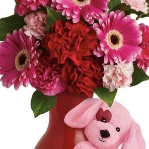 Meet your Posher, Ana