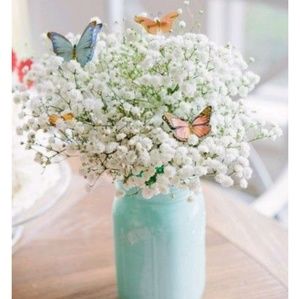 Meet your Posher, Elisa