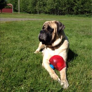 Meet your Posher, Lanie