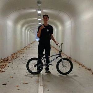 Meet your Posher, Niko