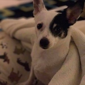 Meet your Posher, Lj