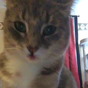 Meet your Posher, Casie