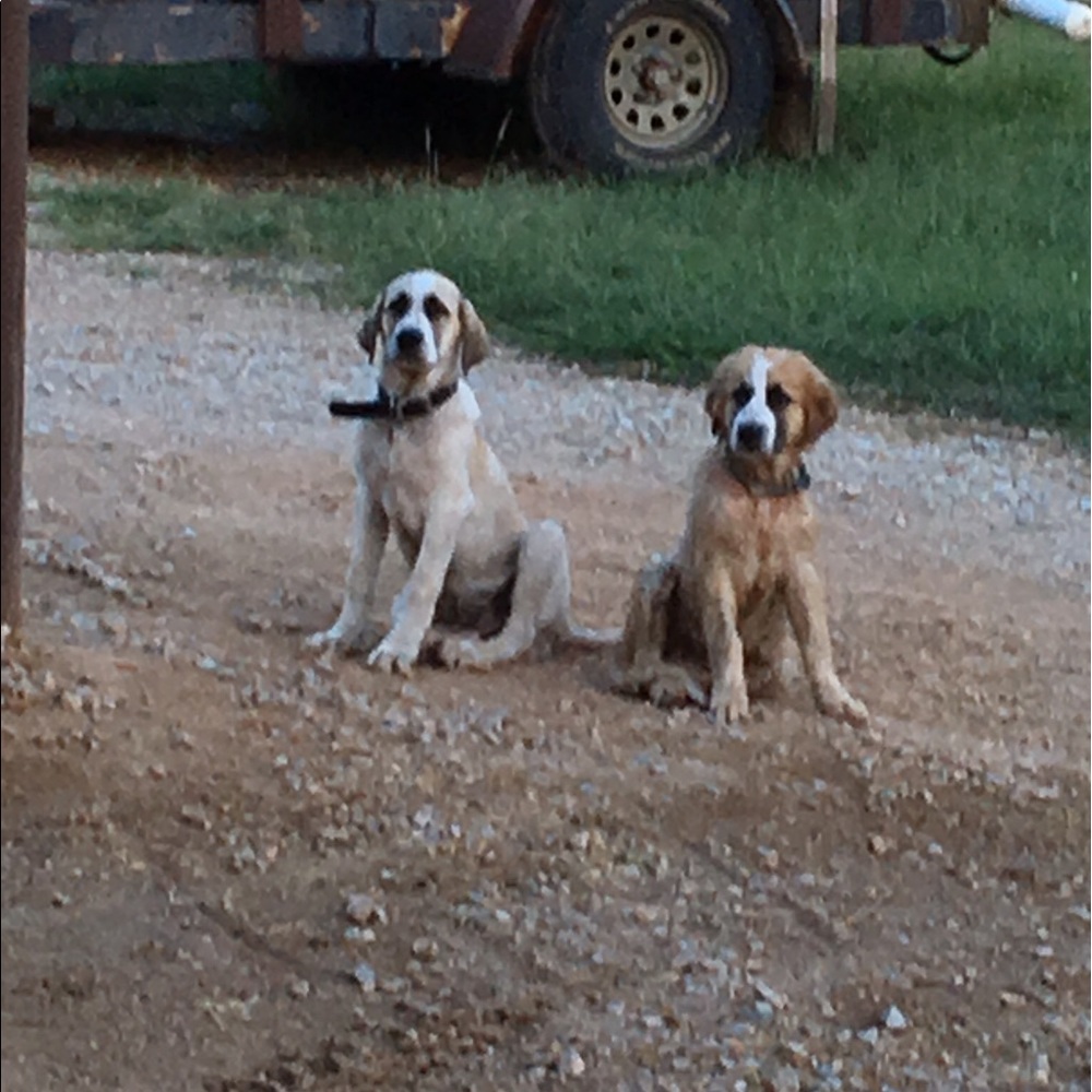 Meet your Posher, Nadine