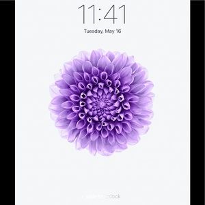 Meet your Posher, Kragen