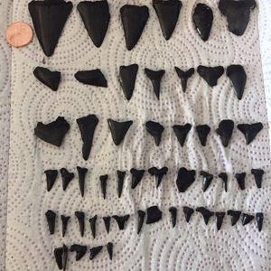 Meet your Posher, Dan