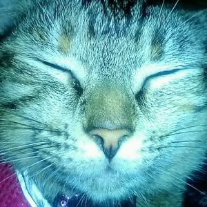 Meet your Posher, Julieanne