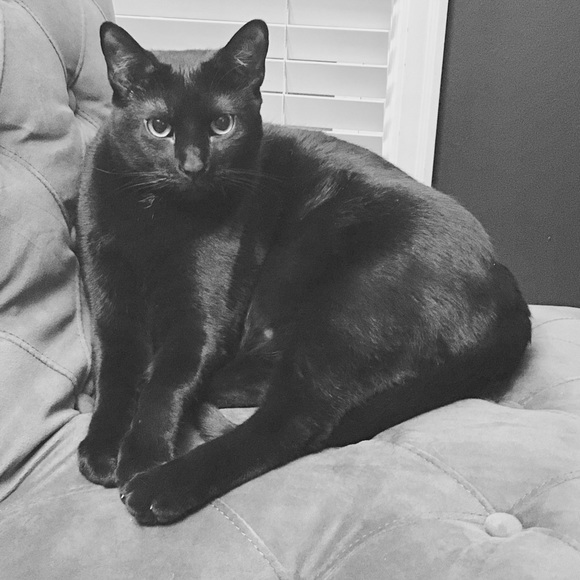 My Closet's Namesake - Picture 2 of 5