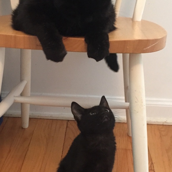 My Closet's Namesake - Picture 3 of 5