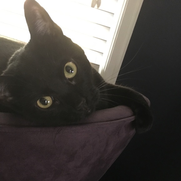 My Closet's Namesake - Picture 4 of 5