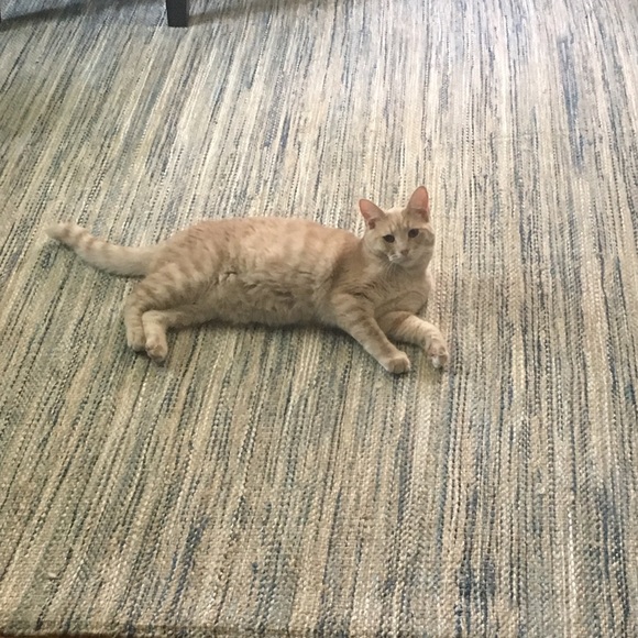 My Closet's Namesake - Picture 5 of 5