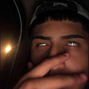 Meet your Posher, Wilmer