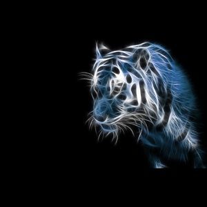 Meet your Posher, Sean