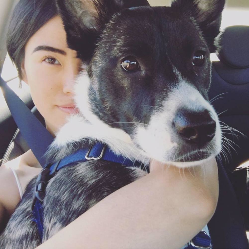 Meet your Posher, Grace