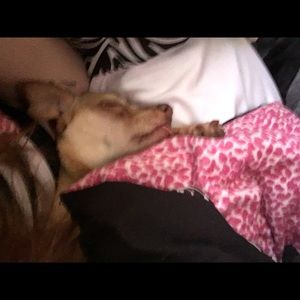 Meet your Posher, Heather