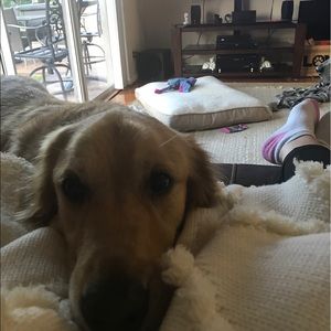 Meet your Posher, Deborah