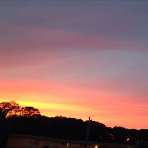 Meet your Posher, Chase