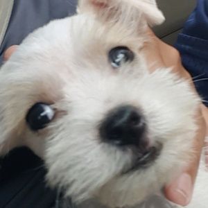 Meet your Posher, Ty