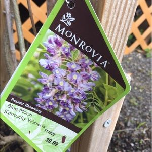 Meet your Posher, Phuc