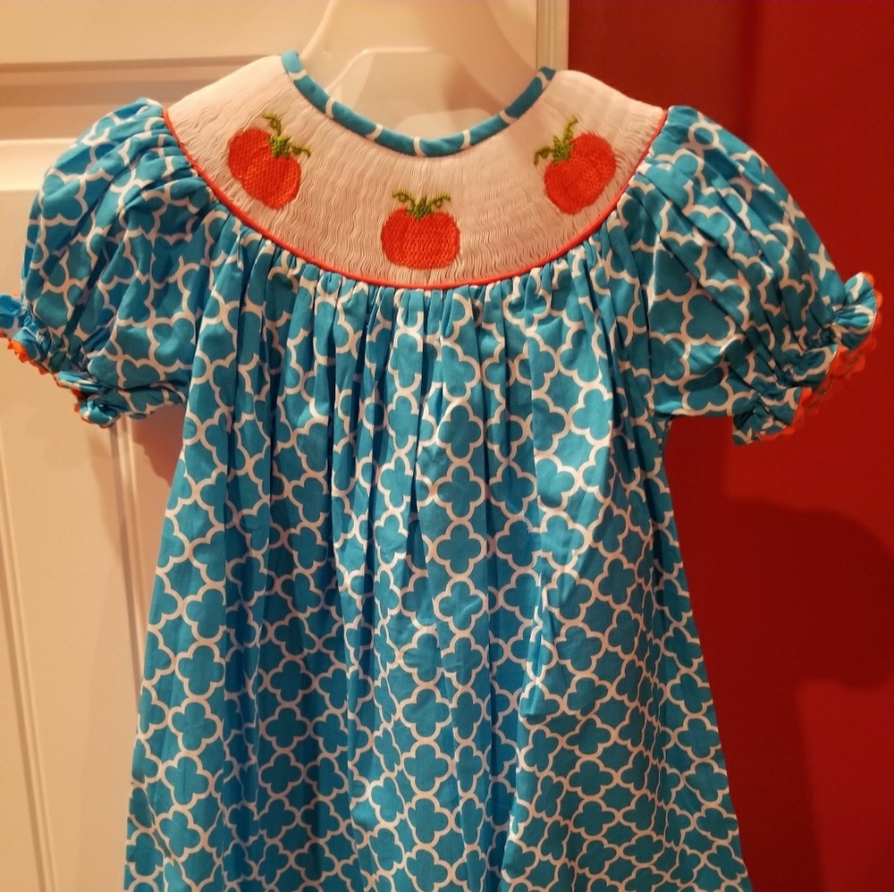 Brand new girl's sz 3 embroidered bishop dress