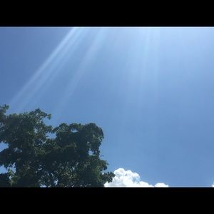 Meet your Posher, Desiree