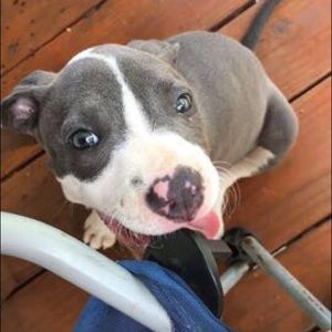 Meet your Posher, Sara