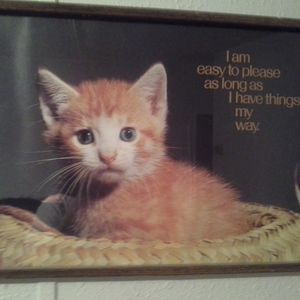 Meet your Posher, Loretta