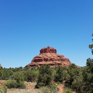 Meet your Posher, Noah