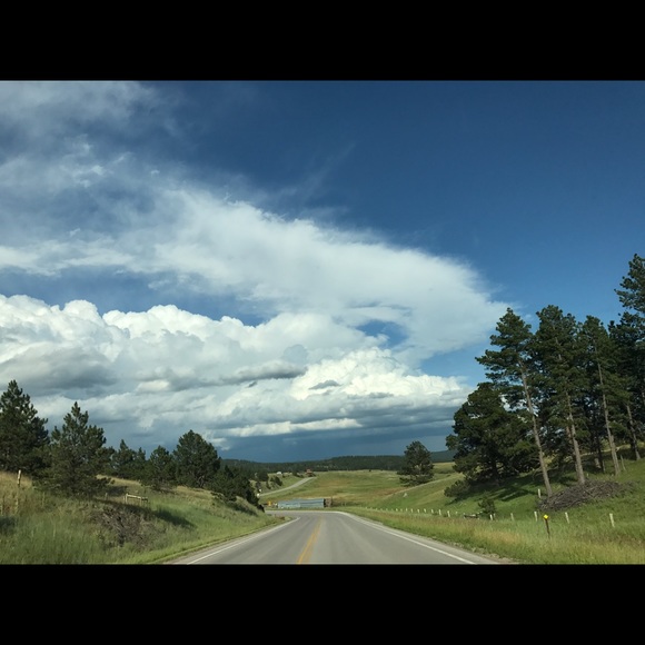 Meet your Posher, Connie - Picture 1 of 1