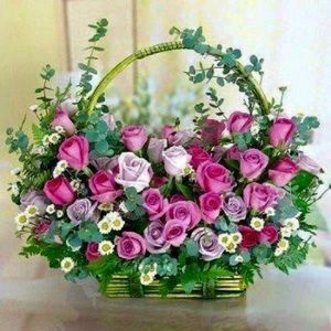 Meet your Posher, Ana