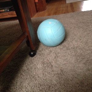 Volleyball