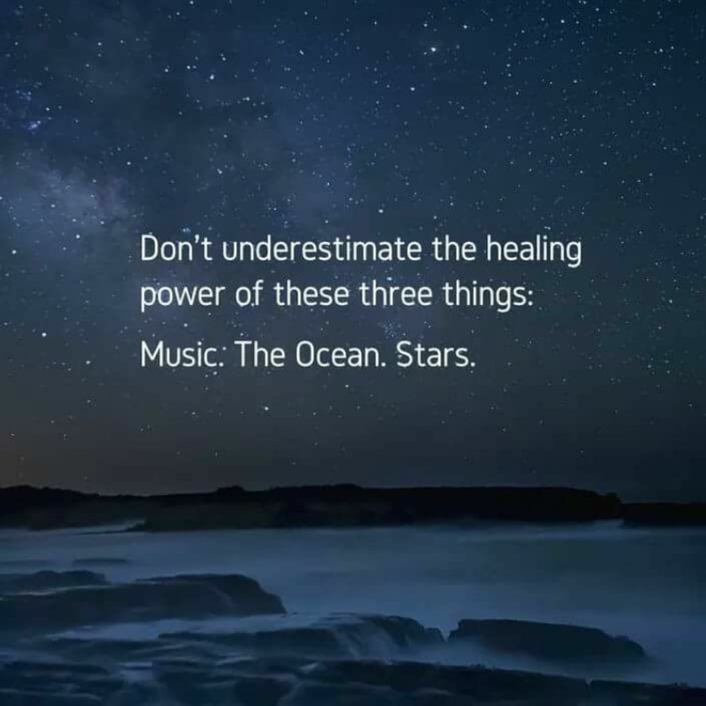 Meet your Posher, Chelee