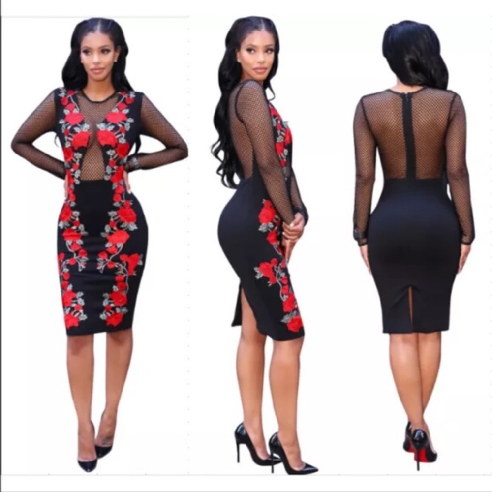 Sexy mesh club party dress