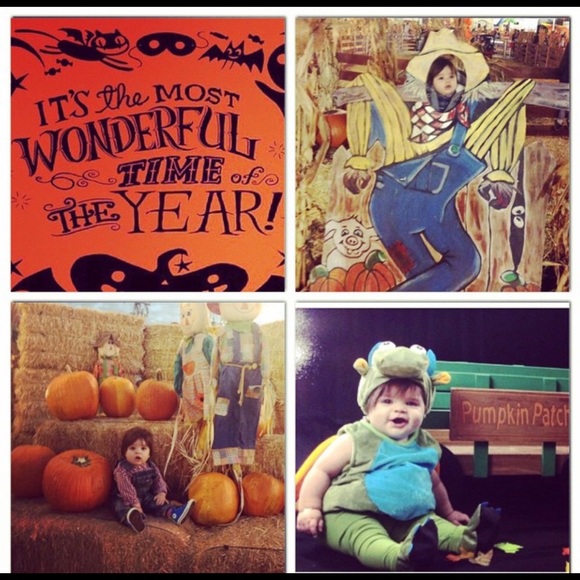 Meet your Posher, Jocelyn - Picture 4 of 6