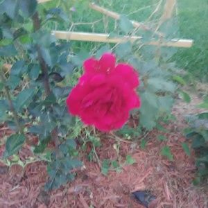 Meet your Posher, Colton