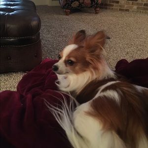 Meet your Posher, Cindy