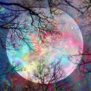 Meet your Posher, Dinah