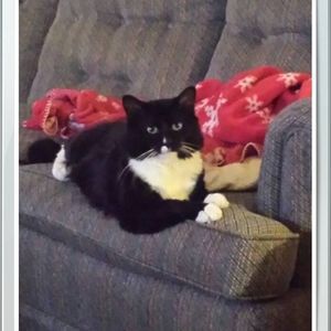 Meet your Posher, Sheila