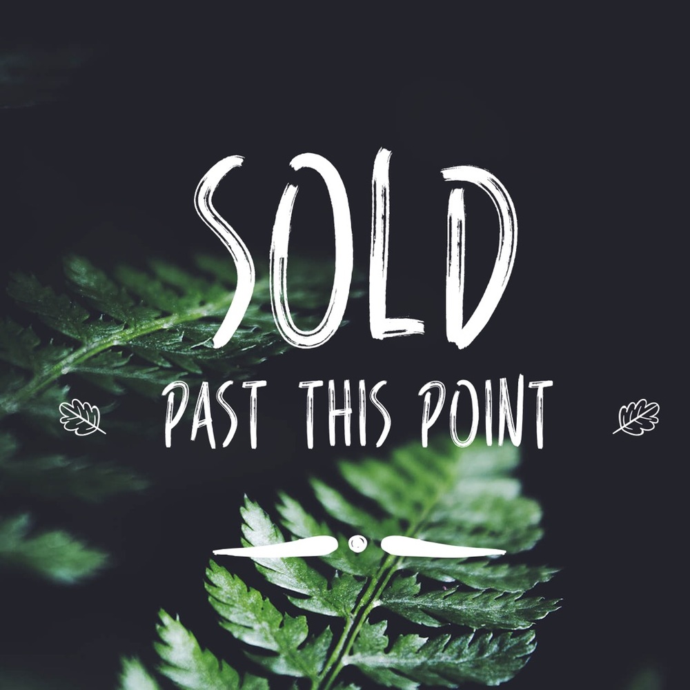 SOLD PAST THIS POINT