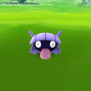 Meet your Posher, Nitza