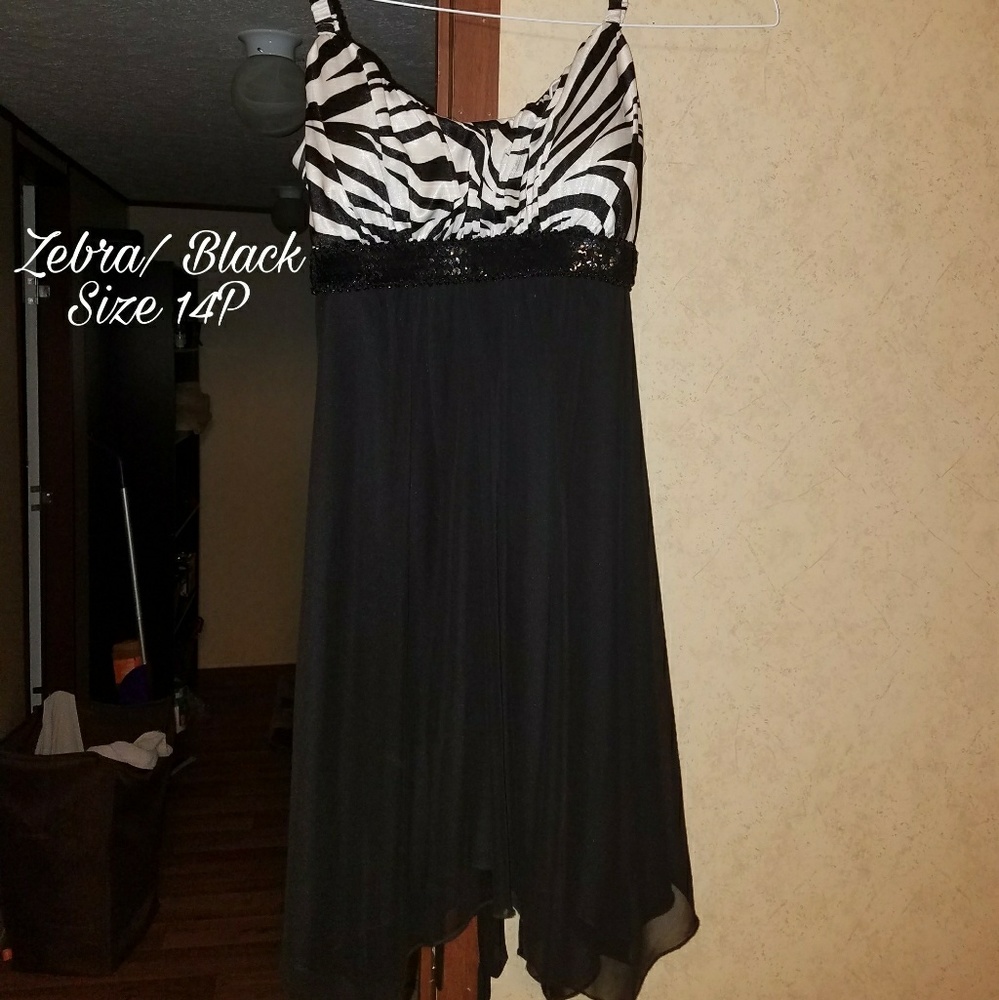 Zebra top dress